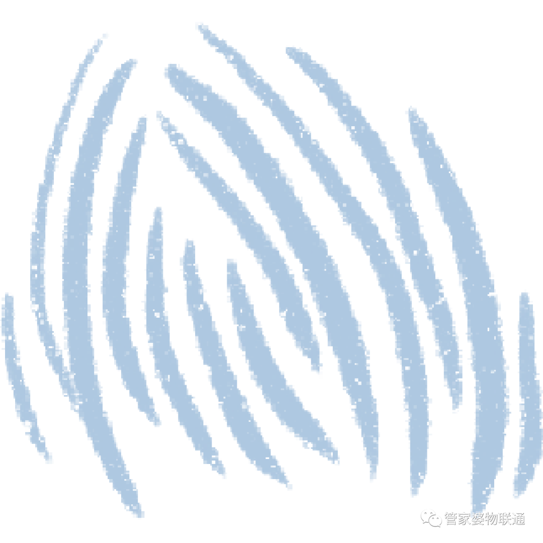 6.png